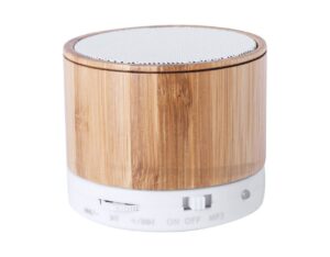 Преносима Bluetooth колонка Kaltun